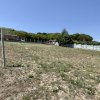 Teren Intravilan de Vis în Bascov, la Marginea Pădurii! thumb 2