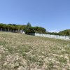 Teren Intravilan de Vis în Bascov, la Marginea Pădurii! thumb 3