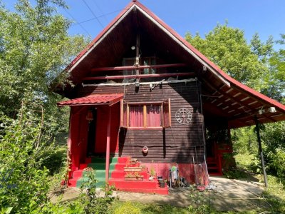 Casă Vacanță Băbana! 35mp + Teren 1077mp cu Pârâu. Lângă Pitești.