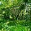 Casă Vacanță Băbana! 35mp + Teren 1077mp cu Pârâu. Lângă Pitești. thumb 7