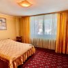 Proprietate Excepțională cu Potențial Dublu în Valea Ursului, Argeș thumb 9