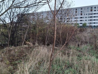  Teren intravilan Bragadiru 