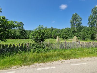 Teren de vanzare in judetul Arges, localitatea Arefu 