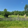 Teren de vanzare in judetul Arges, localitatea Arefu  thumb 3