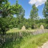 Teren de vanzare in judetul Arges, localitatea Arefu  thumb 6