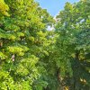 Vanzare Apartament 3 camere, 4 min metrou Titan – perfect pentru personalizare thumb 9