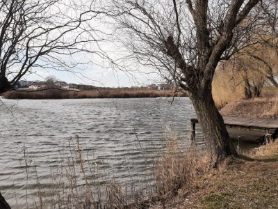 Teren 6.600mp cu deschidere la lac - zona centrală Corbeanca