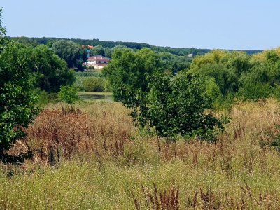 Teren 6.600mp cu deschidere la lac - zona centrală Corbeanca