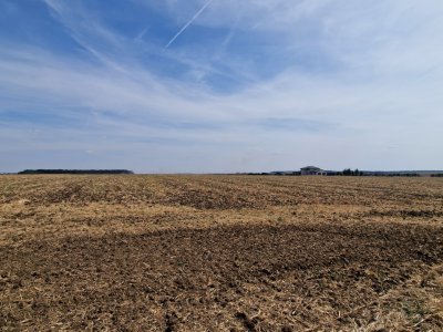 Teren de vanzare de 11.068 mp extravilan arabil in zona Belciugatele - zona lac
