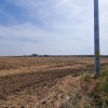 Teren de vanzare de 11.068 mp extravilan arabil in zona Belciugatele - zona lac thumb 2
