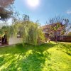 Vilă parter-pod mansardat, teren-grădină matură, de vânzare Tamași-/Corbeanca imaginea mica 1 Vilă parter-pod mansardat, teren-grădină matură, de vânzare Tamași-/Corbeanca thumb 1