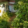 Vânzare Teren Intravilan, Măgurele Strada Unirii nr 2 imaginea mica 4 Vânzare Teren Intravilan, Măgurele Strada Unirii nr 2 thumb 4