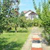 PROPRIETATE DEOSEBITĂ CU POTENȚIAL REZIDENȚIAL ȘI  BUSINESS – MOVILA, NICULEȘTI thumb 10