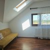 PROPRIETATE DEOSEBITĂ CU POTENȚIAL REZIDENȚIAL ȘI  BUSINESS – MOVILA, NICULEȘTI thumb 18