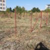 Teren intravilan I deschidere 30mp I toate utilitățile I comision zero thumb 4