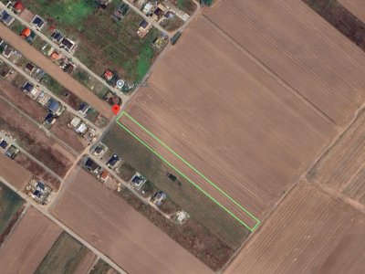 Teren Extravilan In Rate Primaverii Com. Berceni | 5000mp | #EG56E