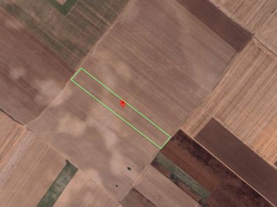 Teren Extravilan In Rate Primaverii Com. Berceni | 12.576mp | #EG41