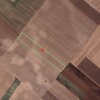 Teren Extravilan In Rate Primaverii Com. Berceni | 12.576mp | #EG41 thumb 1