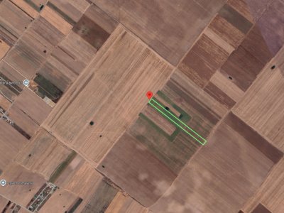 Teren Extravilan In Rate Primaverii Com. Berceni | 4.973mp | #EG39