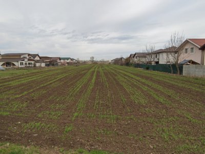 Teren Extravilan Padurea Craiului la intrarea in Com. Berceni | 3600mp