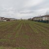 Teren Extravilan Padurea Craiului la intrarea in Com. Berceni | 3600mp thumb 1