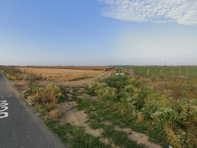 Teren Intravilan Berceni Manastire | curent gaz la sosea | #LG5E