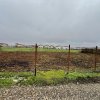Lot Intravilan Rate 644mp Mamina - Berceni | utilitati: Curent | #MG2R imaginea mica 3 Lot Intravilan Rate 644mp Mamina - Berceni | utilitati: Curent | #MG2R thumb 3