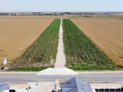 Teren Intravilan In Rate Berceni | utilitati: curent si gaz | #MG10