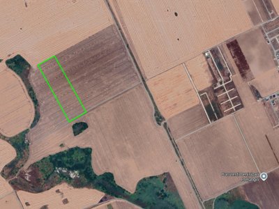 Teren Extravilan Sf. Ana, Drum Radial 9 | 2,2ha