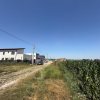 356mp Intravilan - EquiPark Primaverii Berceni | utilitati: curent imaginea mica 3 356mp Intravilan - EquiPark Primaverii Berceni | utilitati: curent thumb 3