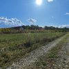 Refugiu la marginea padurii — 2822 mp de liniste in Cocani. thumb 10