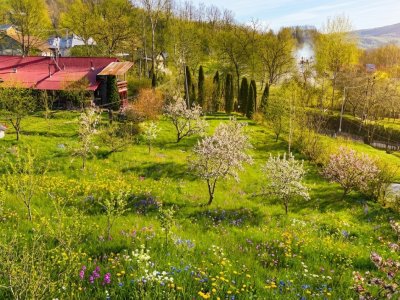 Teren intravilan Slanic Prahova