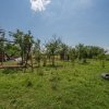 RACARI - DAMBOVITA, CASA PE PARTER 85 MP, LOT 2200 MP! imaginea mica 4 RACARI - DAMBOVITA, CASA PE PARTER 85 MP, LOT 2200 MP! thumb 4