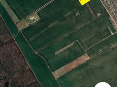 Oportunitate de Investitii teren Buftea langa padure