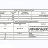 Exclusiv Vanzare Vila Ovidiu compartimentare inteligenta  thumb 8