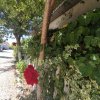 Vânzare Casa cocheta din bca in Năvodari cu toate dotarile thumb 5