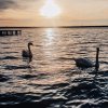  Închiriere Apartament – Bloc Nou, Vedere Frontală la Lac, Prima Închiriere thumb 19
