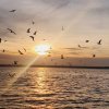  Închiriere Apartament – Bloc Nou, Vedere Frontală la Lac, Prima Închiriere thumb 20