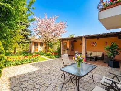 Exclusiv Vanzare Casa P+M Ovidiu - Primarie