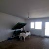 Vila de Vânzare în Mihai Vodă, lângă Bolintin Deal thumb 3
