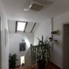 Tunari vila ideală pentru familie, cu curte mare , parcare si barbeque  thumb 12