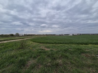 Teren intravilan Izvorani - Delta Snagov 