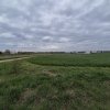  Teren intravilan Izvorani - Delta Snagov  thumb 1