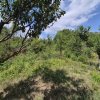 Voluntari - Popasului stradal inchiriere 500 mp teren thumb 6