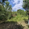 Voluntari - Popasului stradal inchiriere 500 mp teren thumb 7