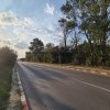 Voluntari - Popasului stradal inchiriere 500 mp teren thumb 8