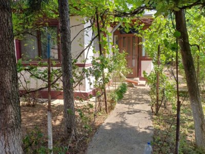 Casă bătrânească de vânzare în Chitila –  aproape de București