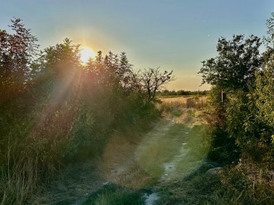 Teren 6700 mp Olteni, jud. Dâmbovița – la doar 900 m de Autostrada A1 (km 63)