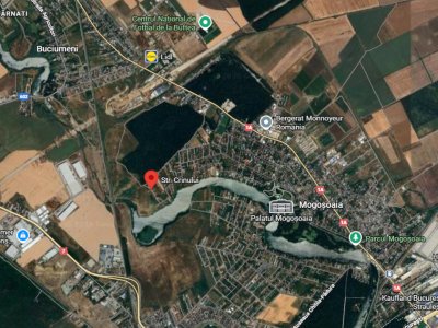 Teren de vânzare în Mogoșoaia – Strada Crinului, lângă lac | Lot ideal pentru ca