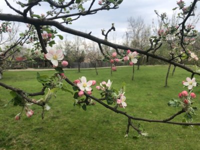 Teren intravilan Vălenii de Munte – 9.123 mp | Deschidere 45 ml | Lângă râu